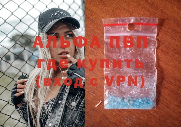гидра Алексин